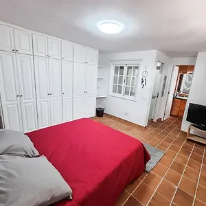 casa-luz-precioso-apartamento-en-el-centro-del-puerto.tenerifehoteles.net/