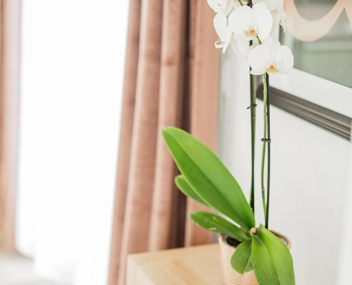 City Lodge Wien